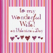To my wonderful wife (CR229)
